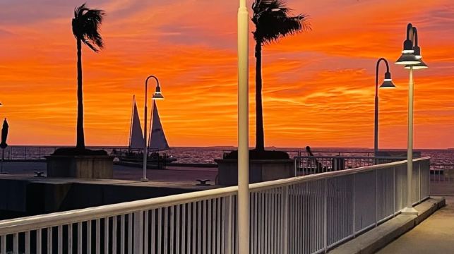 美國邁阿密+基韋斯特+基韋斯特【海明威故居-果凍海高端尊享】