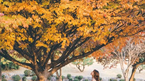 クウェートクウェートの旅写真【運転手兼ガイド兼Tripメモリー+ウェディング写真ドローン撮影ミニムービー+メイク・衣装+旅程カスタマイズ現地ガイド通訳貸切チャーター】