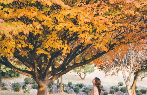 科威特科威特Trip Moments【攝影師跟拍航拍約拍抓拍街拍寫真婚紗微電影/多語言翻譯/底片全送】