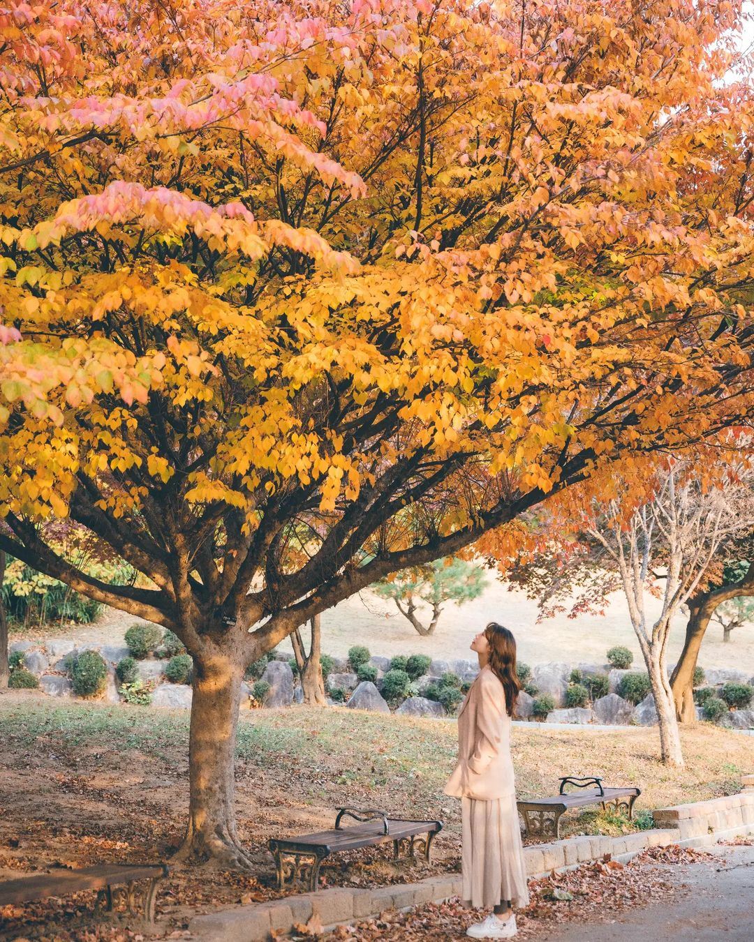 Kuwait Trip Moments[Autista, guida e fotografo per Trip Moments + servizio di riprese aeree per foto matrimoniali e cortometraggi + trucco e abbigliamento + personalizzazione itinerario + interprete locale + noleggio con conducente esclusivo]