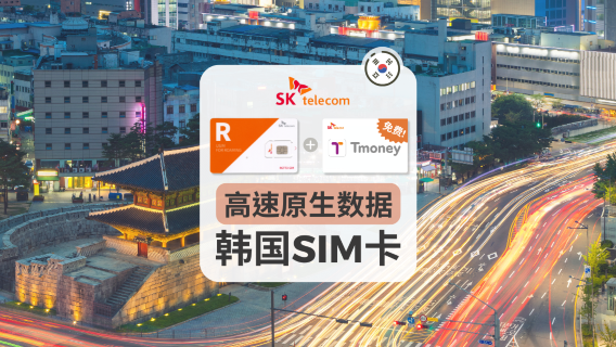 South KoreaSIM Cards