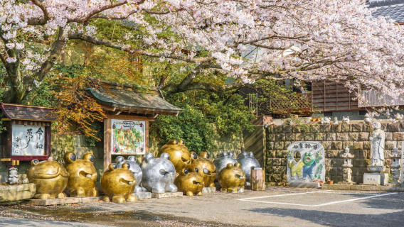 Kyushu | Dazaifu Tenmangu Shrine, Seikagezan Nyorinji Temple, Kinrin Lake, and Yufuin Street one-day tour