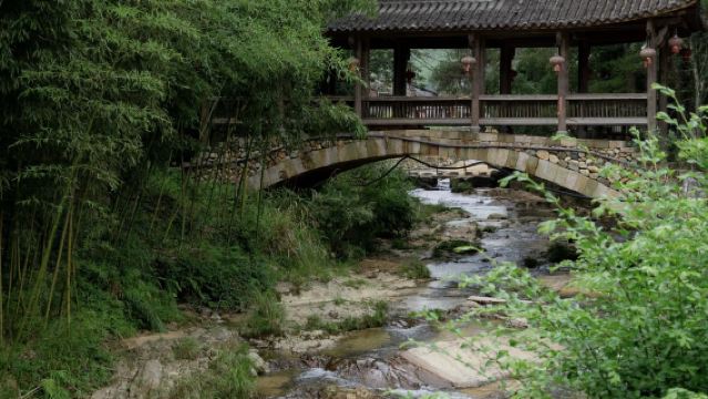 Lishui—Suichang: Nanyan Puncak + Lembah Naga + Gunung Buddha Seribu, tarikan pelancongan boleh disesuaikan G