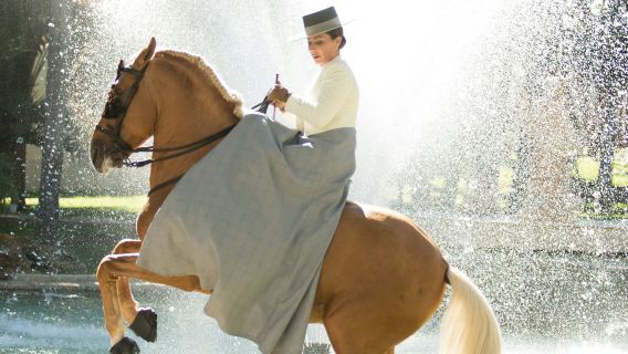 Club Hipico El Ranchito: Andalusian Horse and Flamenco Show