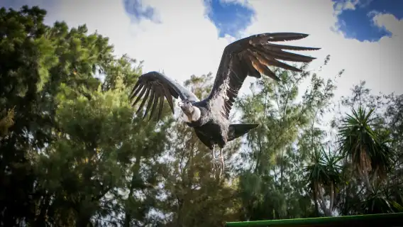 Rancho Texas Lanzarote Park: Entry Ticket