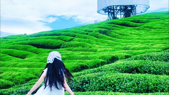 景德鎮一日遊瑤里古鎮+瓷宮+寒溪村+東埠【純玩旅拍陶瓷文化】