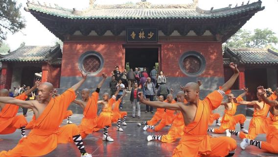 Henan Luoyang Yujian Shaolin--Zen Buddhism ancestral temple private group tour | Shaolin Temple one-day tour T