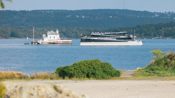 Norwegian Fjord Cruise Nærøyfjord (THE FJORDS) / Oslo Fjord / Booking Service