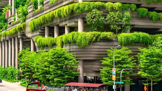 Daftar kad elektronik masuk Singapura dan isi borang kastam semasa ketibaan