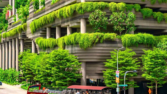 SingaporeTravel Services
