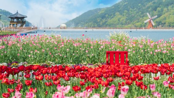 Daegu|Songhae Park x Palgongsan cable car x Busan Aquarium x Seaside Train *Depart from Busan