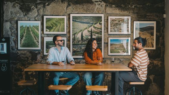 Fonesca Port Wine Cellar: Guided Tour & Tasting + Dinner + Fado Show