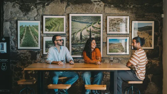 Fonesca Port Wine Cellar: Guided Tour & Tasting  + Dinner + Fado Show