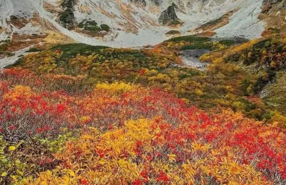 日本長野千疊敷冰斗【日本阿爾卑斯山/秋季限定/中文私家包車】