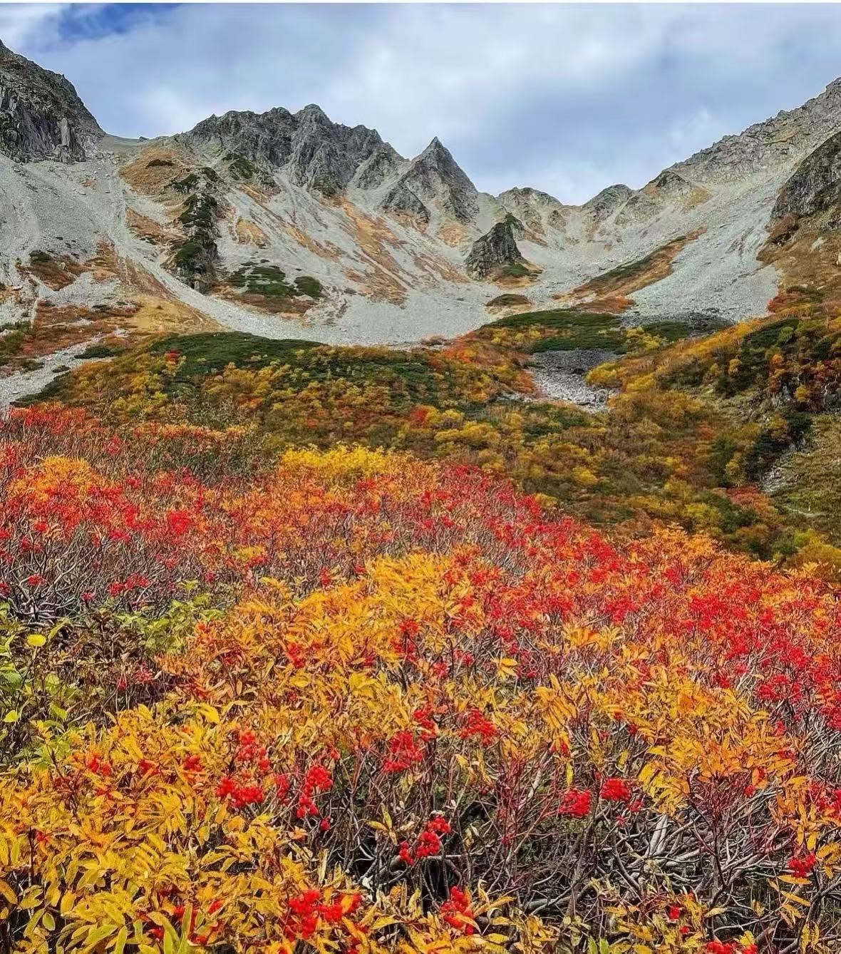 日本長野千疊敷冰斗【日本阿爾卑斯山/秋季限定/中文私家包車】