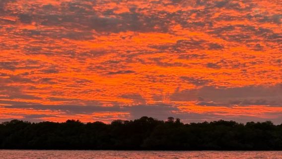Komodo Speedboot Sonnenuntergangsfahrt und halbtägige Schnorcheltour [Mendellete-Insel + Cloa-Insel + Karon-Insel]