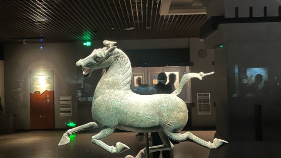 甘肅省博物館【代預約+2小時深度導覽+預約失敗全額退】