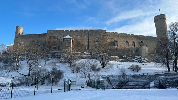 Tallinn: tour a piedi medievale