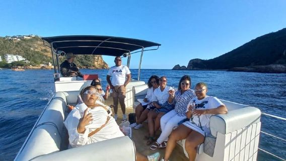 克尼斯納：75分鐘潟湖遊船之旅