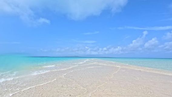 Ishigaki Island: Boat Snorkeling Tour at Phantom Island