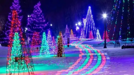 จากโตรอนโต: ทัวร์ชมเทศกาลแสงไฟฤดูหนาวที่น้ำตกไนแองการา