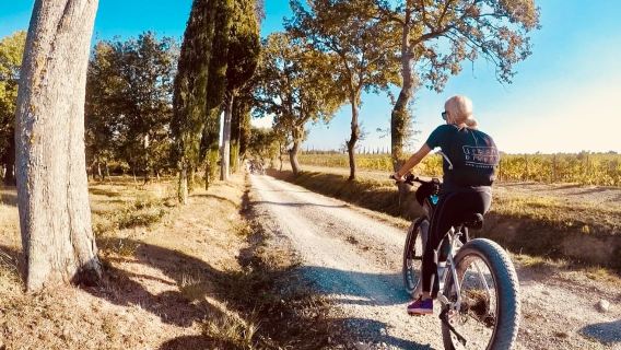 Montepulciano: Experiencia de vino en bicicleta eléctrica