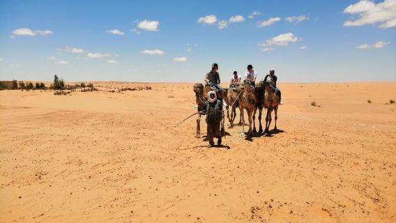 1H Camel ride in ksar Ghilane
