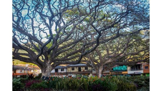 Desde Medellín: excursión de un día a Jardín, Los Andes e Hispania