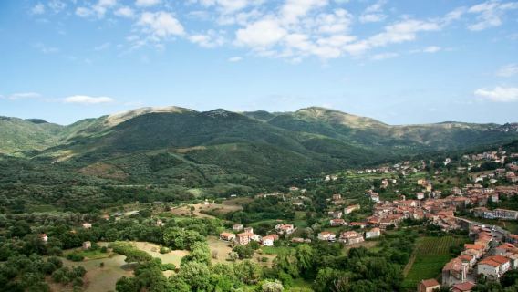 Camerota: Guided wine tasting