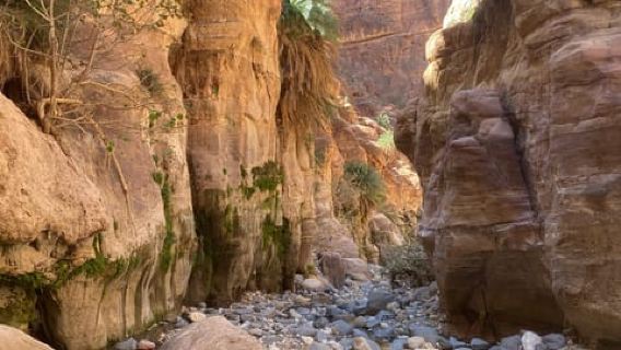 Escursione di un giorno intero a Wadi Ghuweir con guida locale e pranzo.