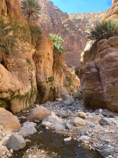Wadi Ghuweir Full-Day Hike with Local Guide & Lunch.
