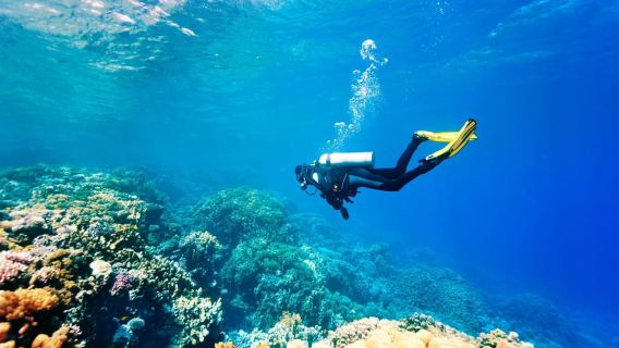 Mellieha: Sesión introductoria de buceo en mar abierto