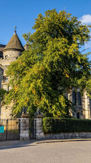 Glasgow to St Andrews Town & Fife Fishing Village Day Tour - Home of Golf