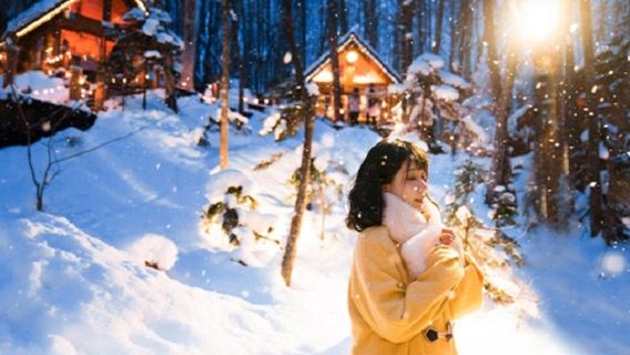 Step into a winter fairy tale|Hokkaido Forest Elf Terrace + Asahikawa Zoo + Biei Christmas Tree 1-day tour