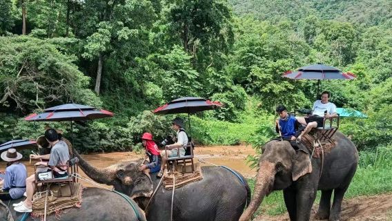 納財大象營一日遊【黏黏瀑布+大象洗澡+竹筏漂流半日遊】