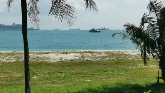 新加坡跳島渡輪船票|聖約翰島-拉扎魯斯島-龜嶼