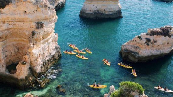 葡萄牙拉各斯【包車一日遊】家庭休閒玩樂線|海灘與海豚