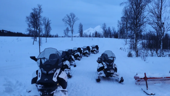 Tour di un giorno in motoslitta notturna a Tromso, Norvegia [7 ore]|Tour in inglese