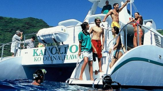 Oahu: Nachmittags-Delfinbeobachtungsfahrt + Schnorcheln