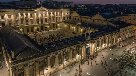 Bordeaux : Visite guidée du Palais Rohan en français