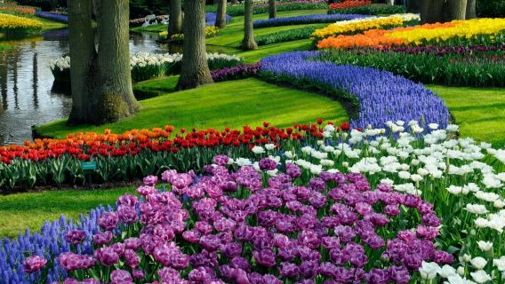 Keukenhof: Bustour + Kanalfahrt + Audioguide