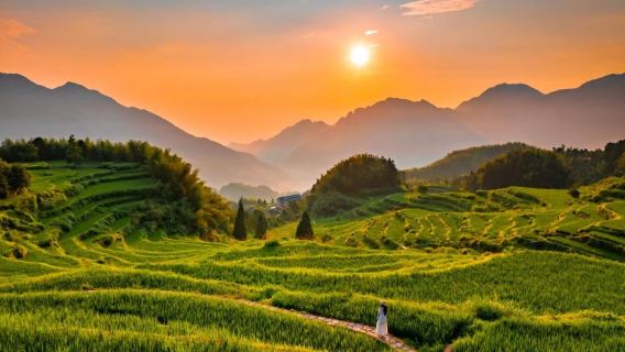 雲和梯田+古堰畫鄉高品質一日遊【含門票船票免轉乘免索道】