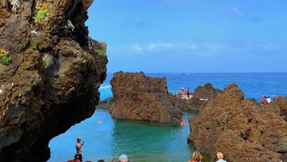 Excursión en grupo reducido al oeste: Cascadas y bosque de Fanal