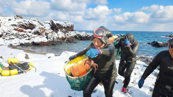 El primer tour en autobús en inglés de Jeju para el recorrido este desde 2008