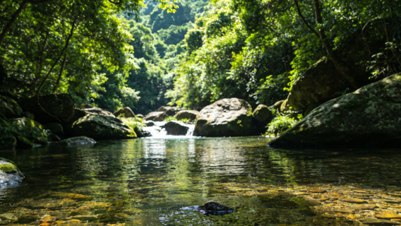 Long Môn Nam Khuôn Sơn tuyến dưỡng sinh rừng núi + Suối nước nóng Bách Thụy Đạt + Khu phố "Hành trình tìm mèo" ở thị trấn Vĩnh Hán