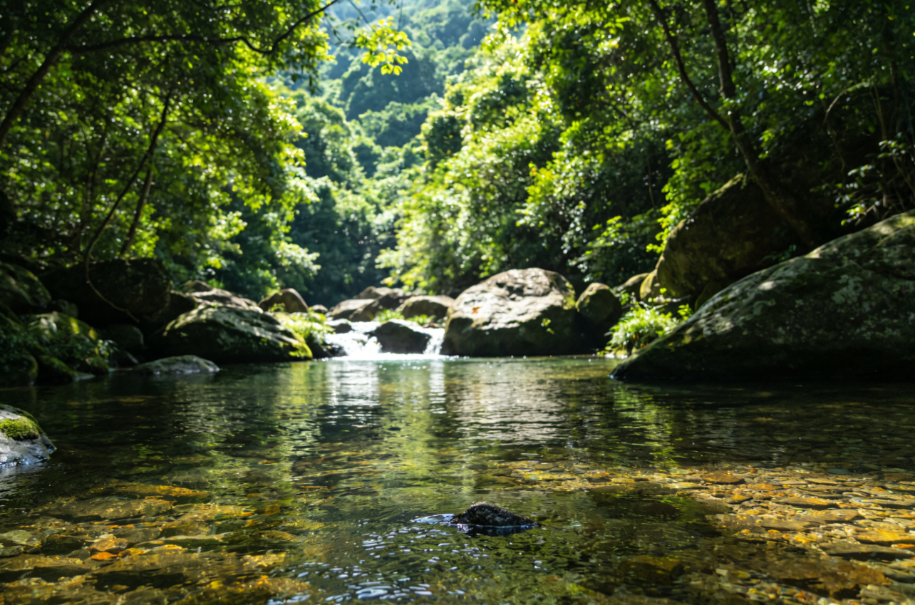 After breathing fresh air in the mountains, head to Cat Street for some feline fun - this itinerary is simply purr-fect