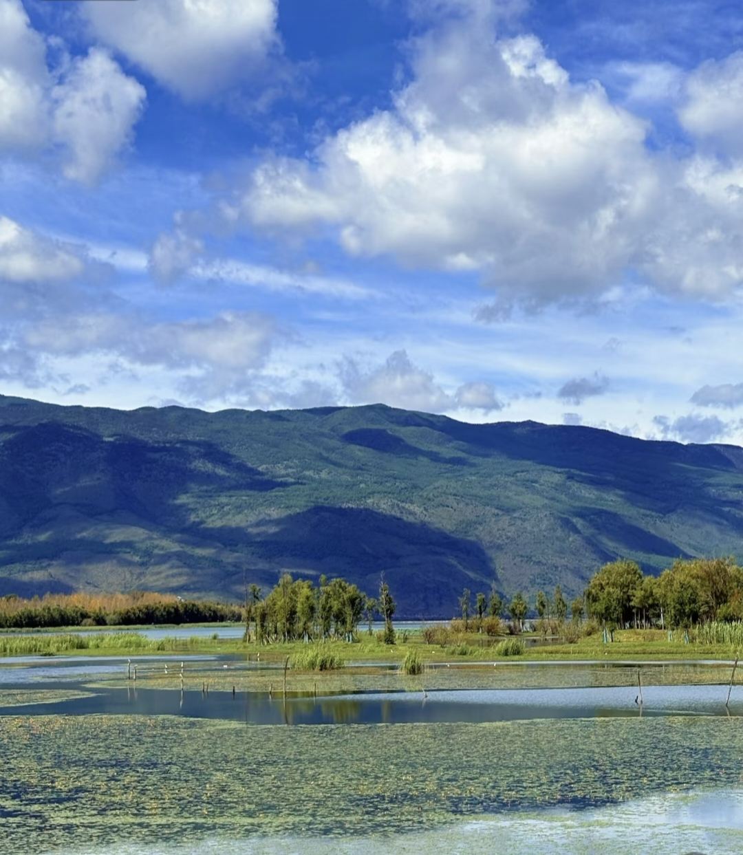 Avventura tra le montagne e i laghi di Dali|Navigare sul Lago Blu, cercare profumi nel Giardino dei Peri, esperienza termale, fare shopping nel mercato del Tè e Cavalli