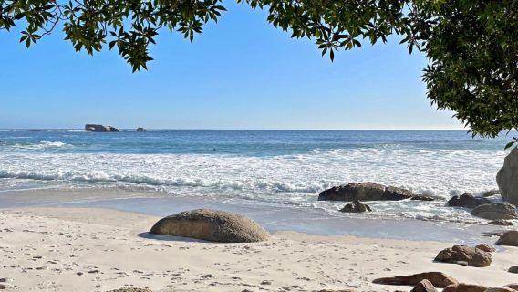 南非開普敦包車一日遊 徒步獅子山+觀企鵝+Clifton海灘