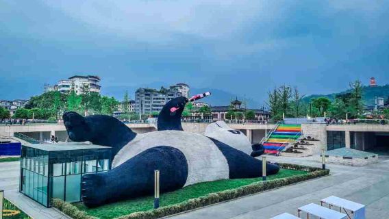 Chengdu Dujiangyan & Panda Valley private charter day tour (Perfect for family trips!)