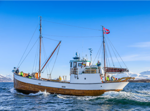 Norway Tromso Fjords 1-day tour [Classic Nordic cruise/Fjord sightseeing/Includes hot drinks and sna